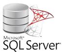 Microsoft SQL Server Logo